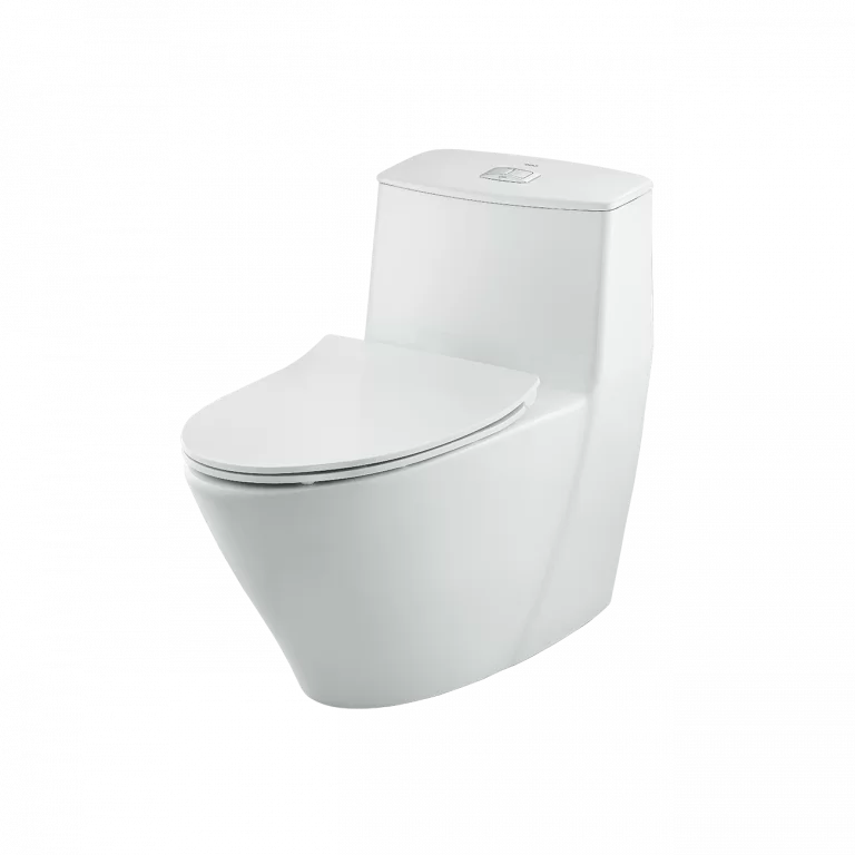 Bệt Một Khối Inax AC-919VRN