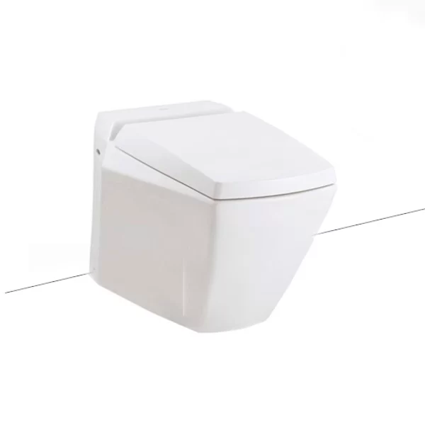 Bệt Liền Khối TOTO CW681_TCP06_T53P100VR_TC375CVK