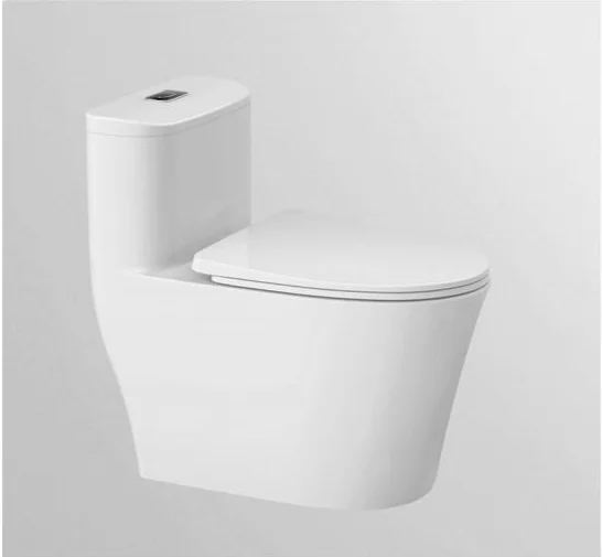 Bệt vệ sinh KL-119