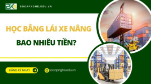 Học bằng lái xe nâng bao nhiêu tiền?