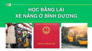 Học bằng lái xe nâng ở Bình Dương