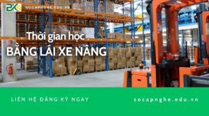 Thời gian học bằng lái xe Nâng